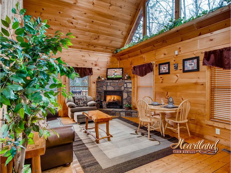 Gas fireplace and flat screen TV